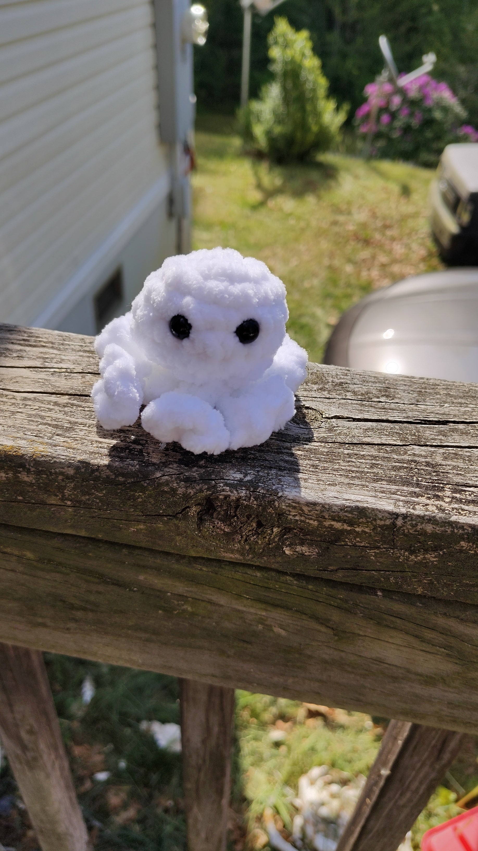 Mini Octopus