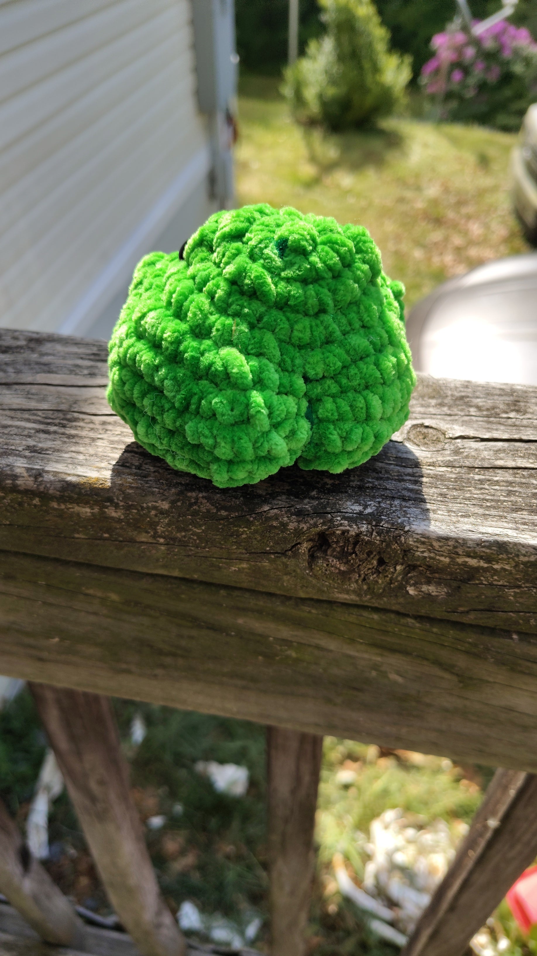 Small Booty Frog