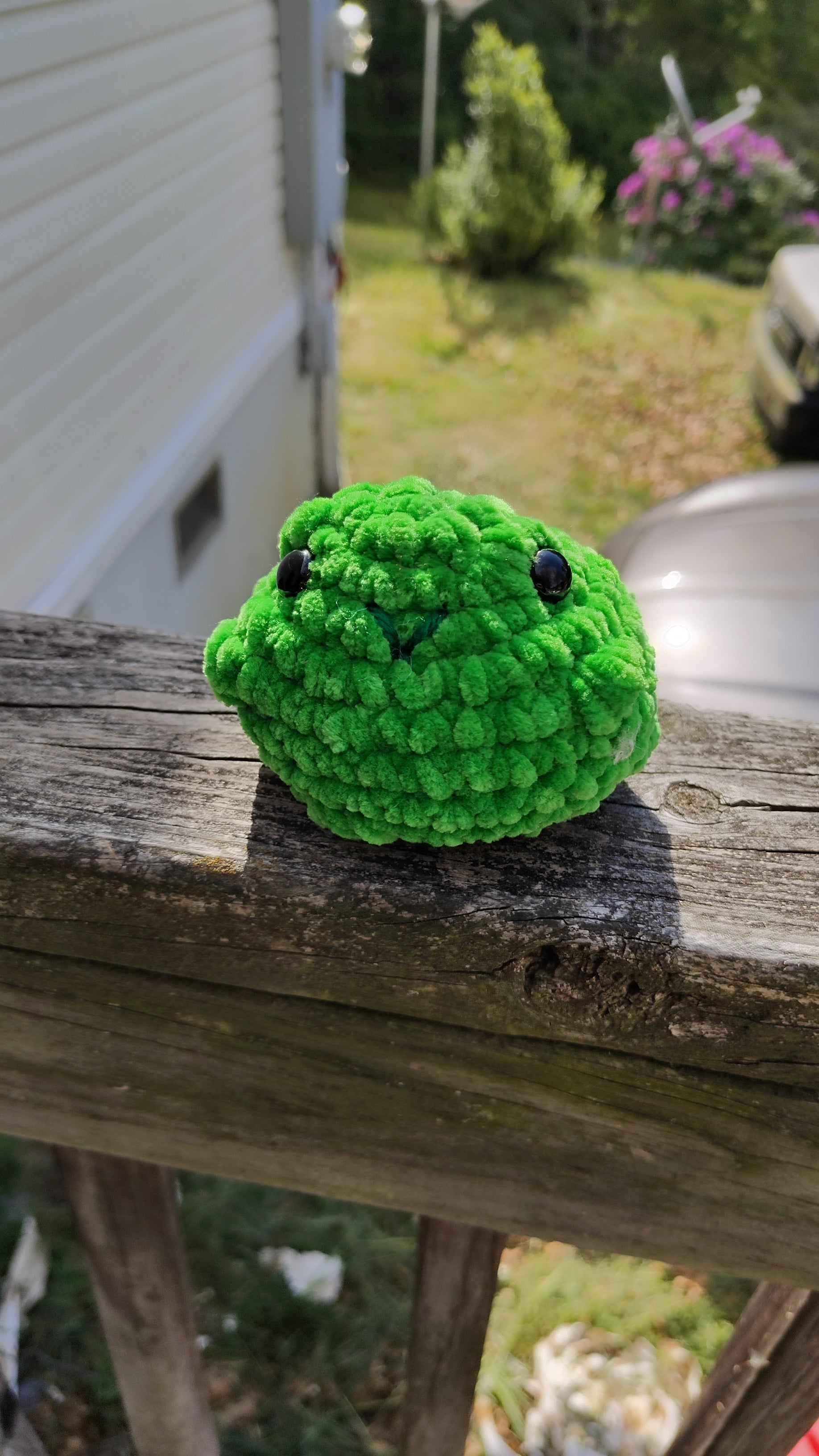 Small Booty Frog