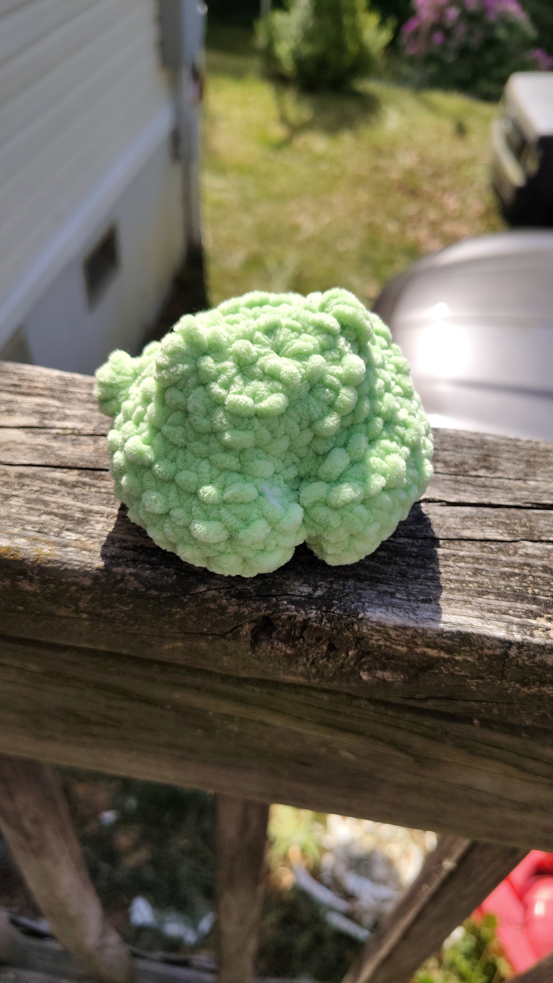 Small Booty Frog