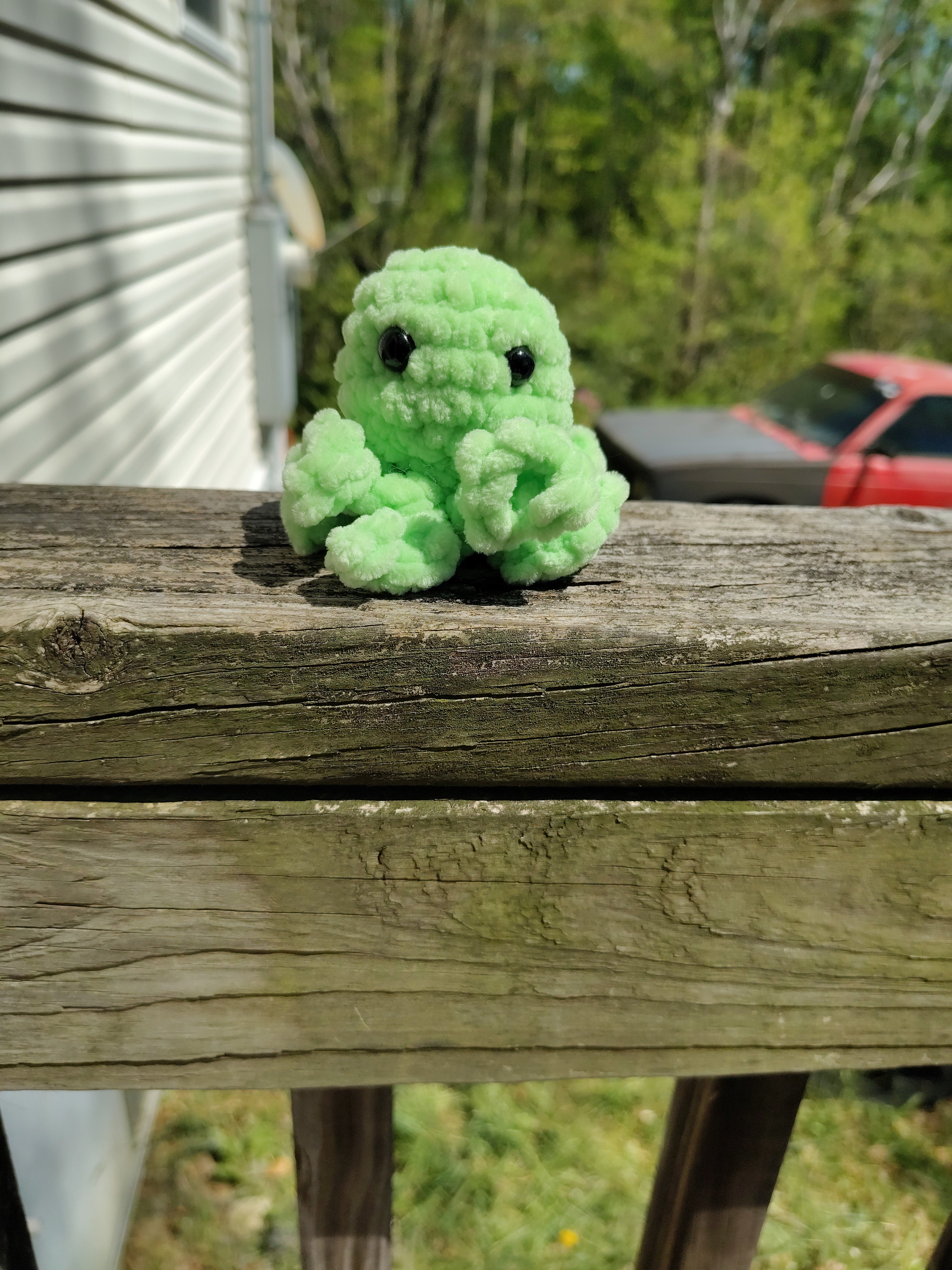 Mini Octopus