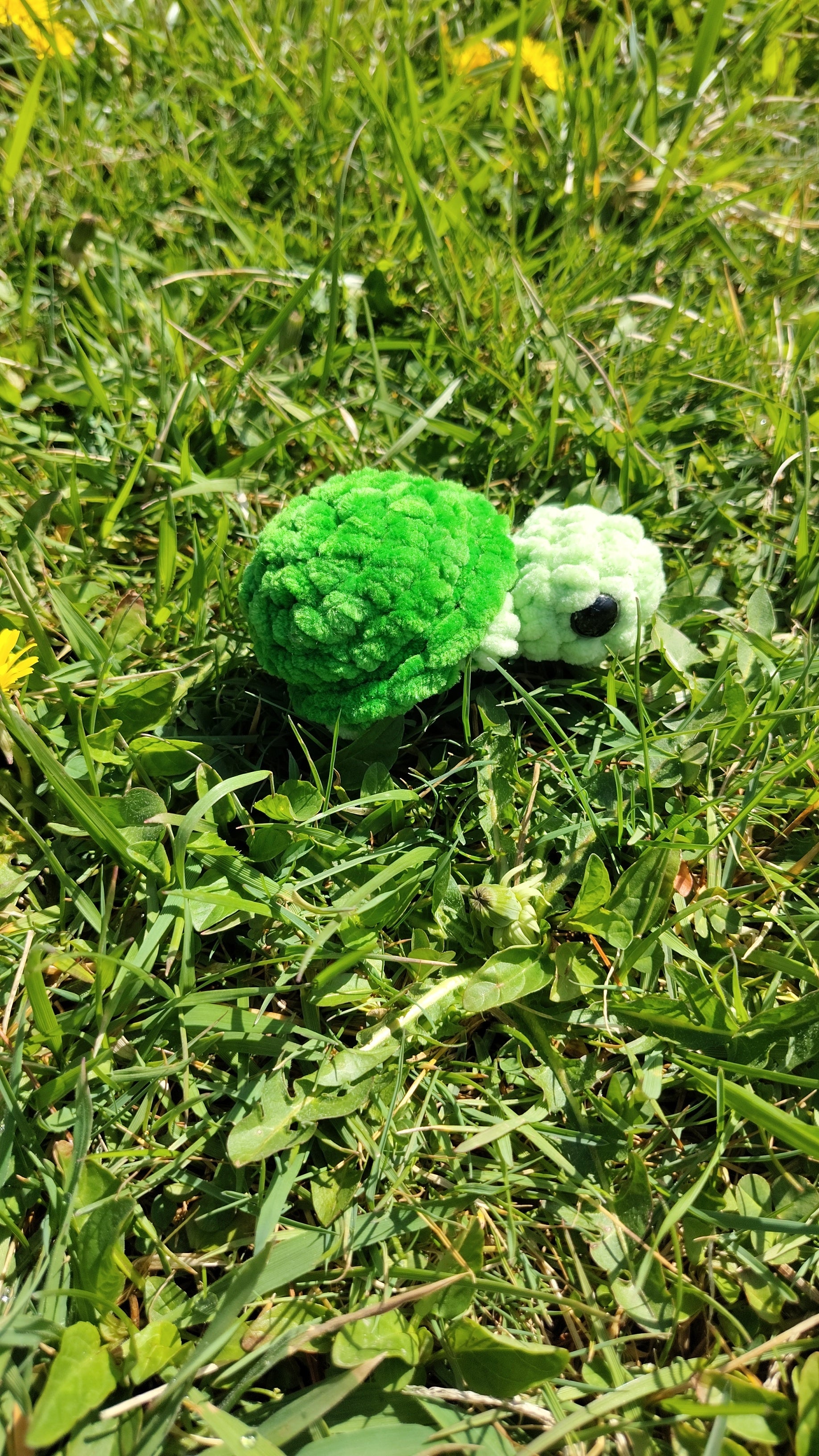 Mini Turtle