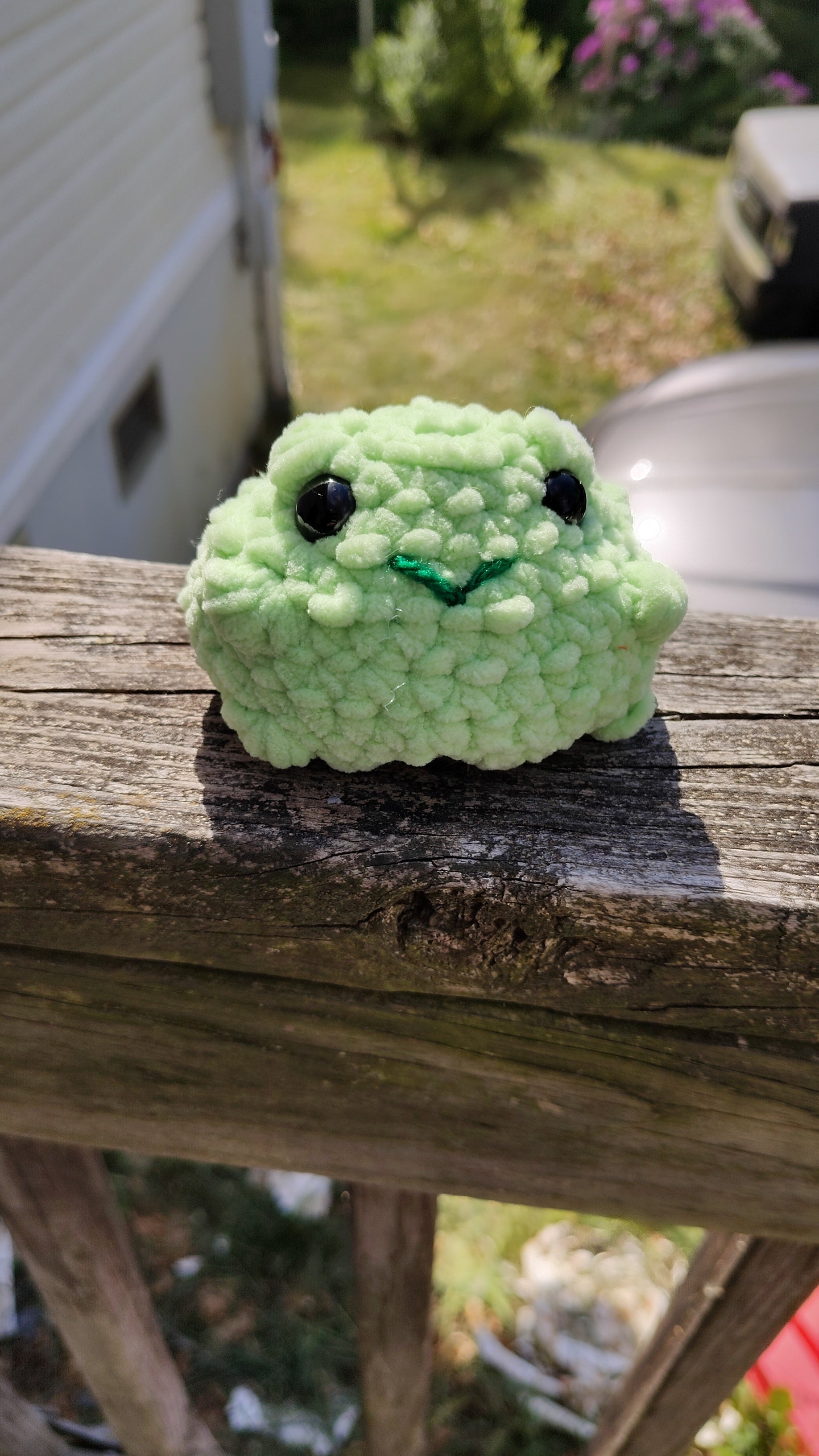 Small Booty Frog