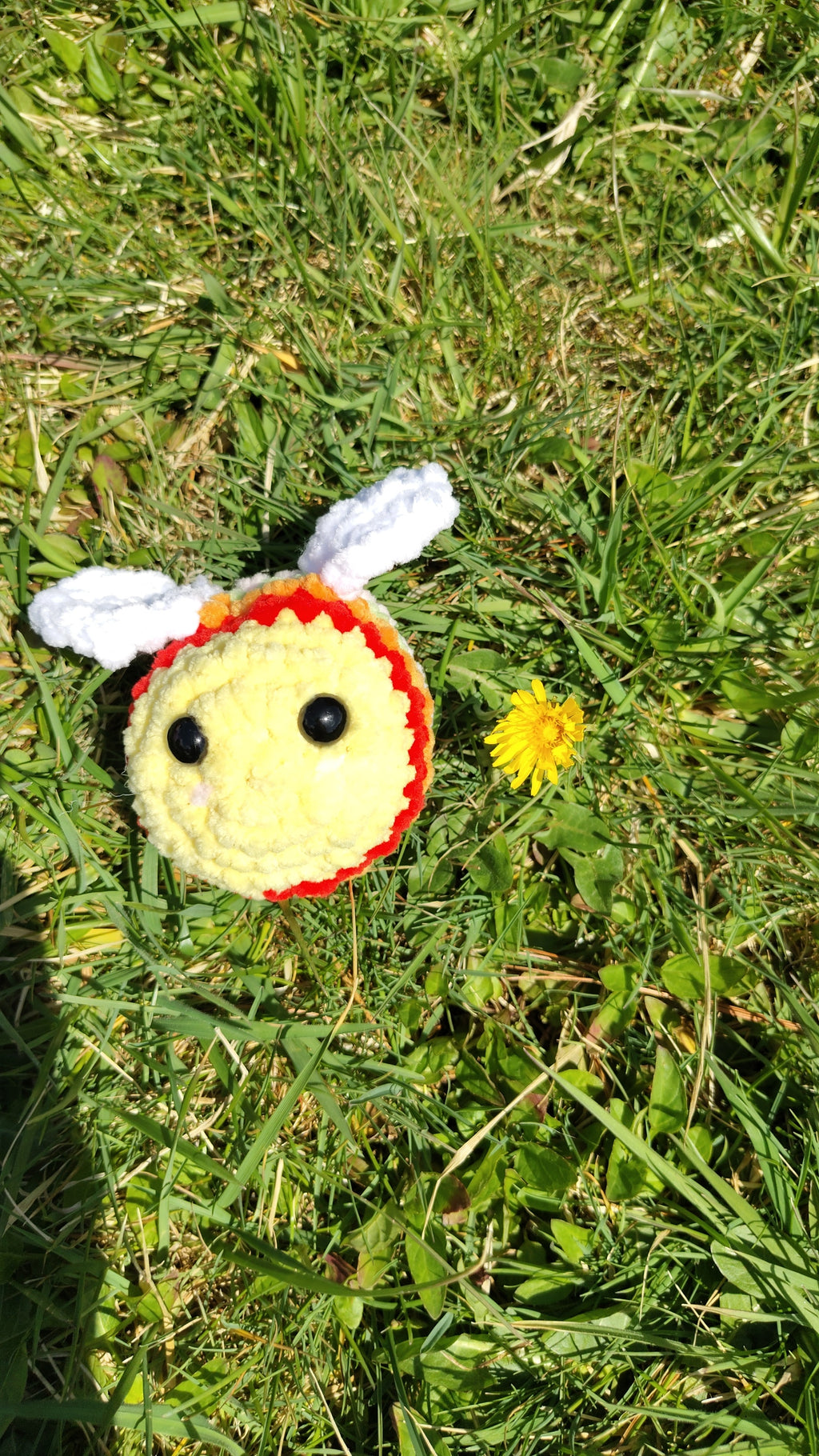 Colorful Bee