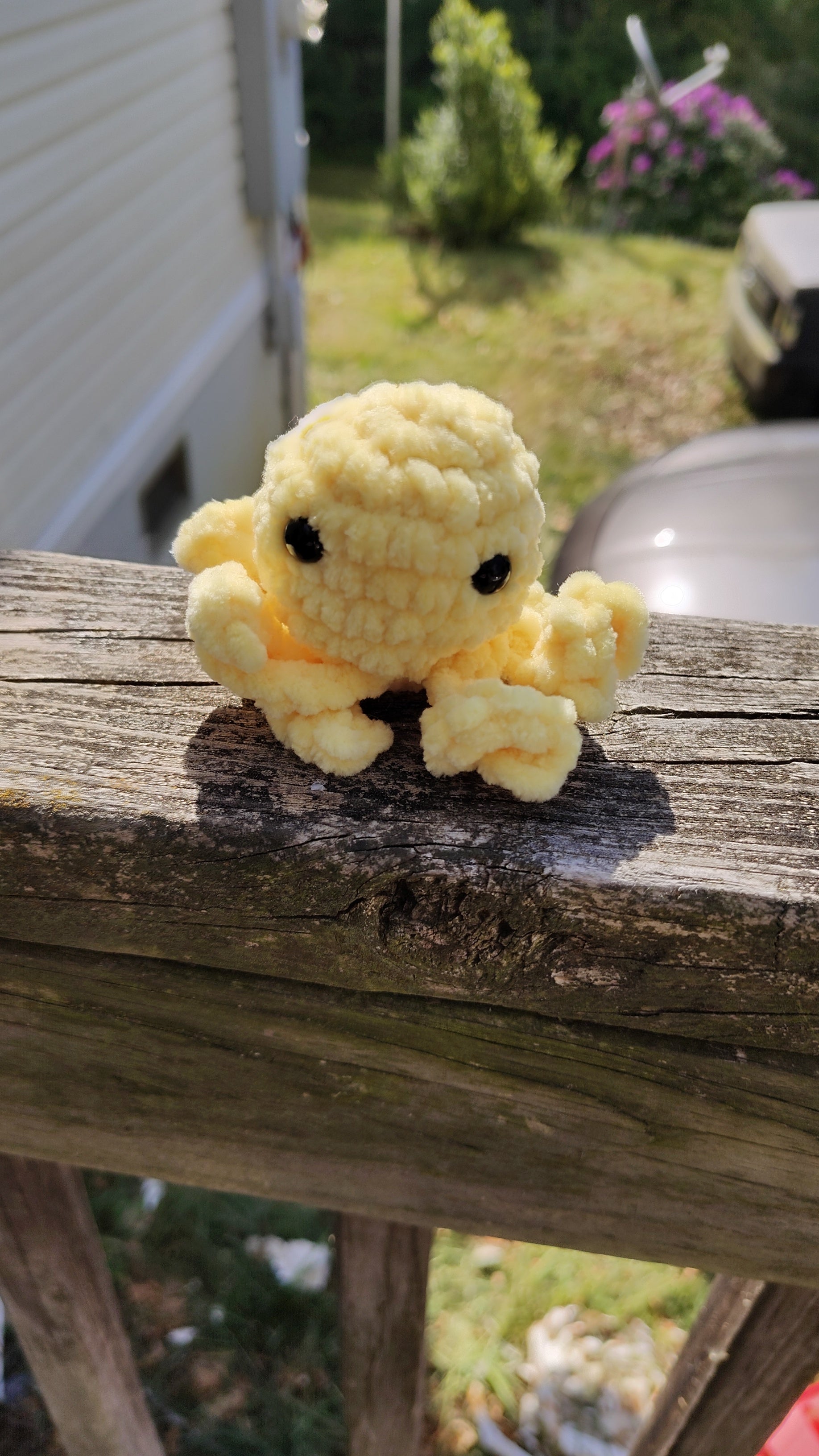 Mini Octopus