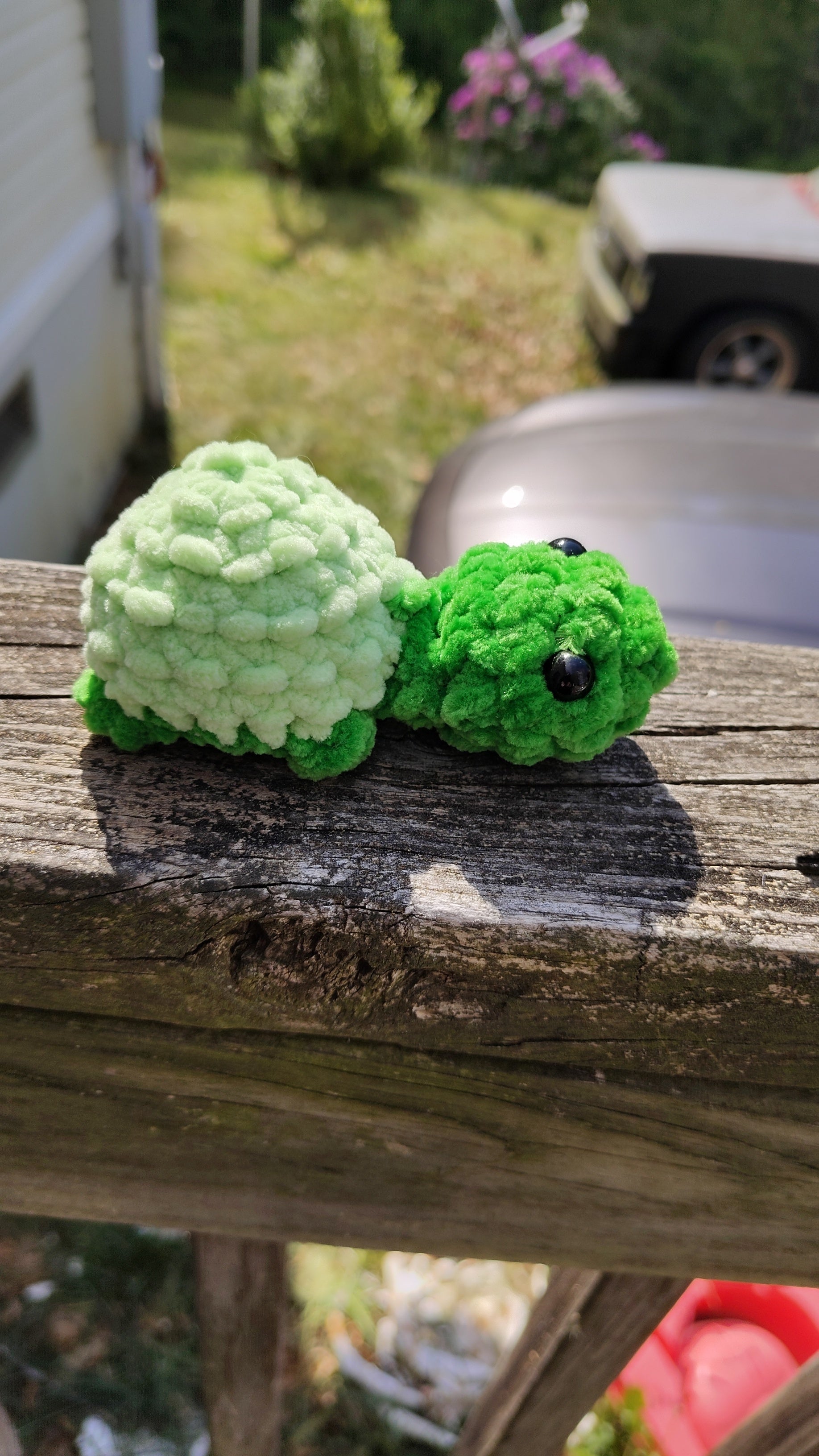 Tiny Turtle